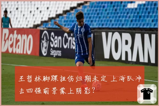 王哲林脚踝扭伤归期未定 上海队冲击四强前景蒙上阴影?